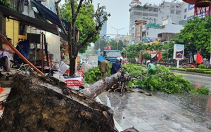 HTX dịch vụ cơ giới hóa nông nghiệp Đông Tiến, là HTX tiêu biểu năm 2024 của Thanh Hóa - Ảnh 10.