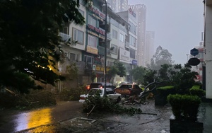 Nhà kính, hoa màu tan hoang sau bão số 3, chủ trang trại ở Hà Nội thiệt hại nặng tiền tỷ- Ảnh 9.