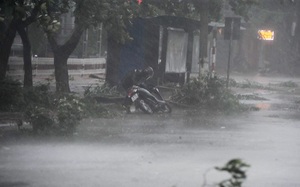 Bão số 3 càn quét quật cây đổ, tôn bay, Phó Thủ tướng yêu cầu tỉnh, thành ven biển cấm đường đến 20h hôm nay- Ảnh 4.