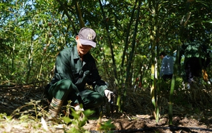 Chủ tịch Hội ND Quảng Bình kiến nghị Chính phủ về chính sách đột phá cho vùng dân tộc thiểu số - Ảnh 5.