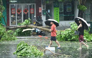 KHẨN CẤP: Gió gào thét, mưa đập liên hồi vào cửa kính, bão số 3 Yagi đang tiến sâu vào đất liền- Ảnh 6.