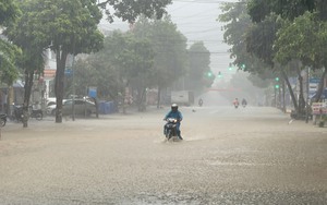 Phó Chủ tịch T.Ư Hội NDVN Bùi Thị Thơm đánh giá cao hoạt động của một HTX tiêu biểu ngành thanh long Bình Thuận - Ảnh 11.