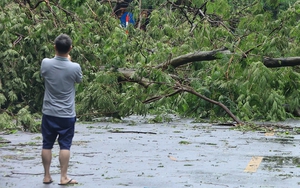 Ngân hàng Nhà nước chỉ đạo giải pháp hỗ trợ khách hàng khắc phục hậu quả bão Yagi - Ảnh 4.