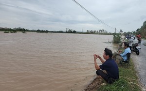 Lúa mùa ngập sâu trong nước, trạm bơm tê liệt vì mất điện, nhiều đại điền ở Thái Bình "kêu cứu" - Ảnh 4.