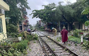 Nhiều cây cổ thụ bật gốc, đè nát ô tô sau khi bão Yagi "cuồng phong" đổ bộ vào Hà Nội - Ảnh 16.