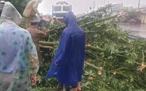 Siêu bão Yagi càn quét: Hé mở về hàng loạt thiệt hại và "toan tính" của công ty bảo hiểm- Ảnh 4.