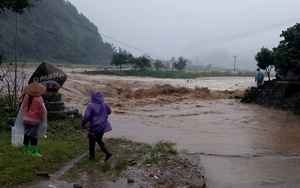 Quảng Ninh: Cưa cây, cắt tôn khắc phục hậu quả bão số 3 - Ảnh 8.