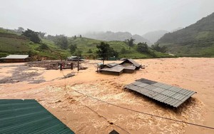 Bão số 3 tạo ra cơn "cuồng phong" phá hủy nhiều nhà màng, nhà lưới, nông dân thiệt hại hàng tỷ đồng- Ảnh 5.