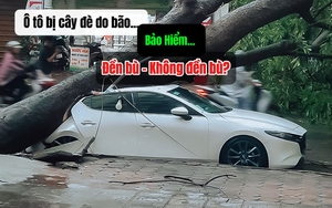 Điểm tên những "ông lớn" có doanh thu khủng từ bảo hiểm xe cơ giới- Ảnh 4.