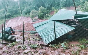 Bão số 3 tạo ra cơn "cuồng phong" phá hủy nhiều nhà màng, nhà lưới, nông dân thiệt hại hàng tỷ đồng- Ảnh 7.