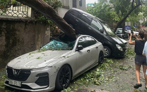 Hội Nhà báo Việt Nam kêu gọi ủng hộ đồng bào bị ảnh hưởng bão lũ  - Ảnh 3.