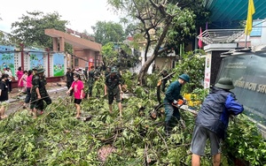 Dự thảo Luật Nhà giáo: Cần đảm bảo tính chủ động trong tuyển dụng và sử dụng nhà giáo - Ảnh 3.