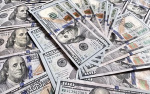 Giá USD hôm nay 5/1: Thế giới đi ngang, tỷ giá "chợ đen" bất động - Ảnh 6.