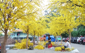 Sinh viên nào là chủ nhân giải thưởng 1 tỷ đồng tiền mặt của Vũ trụ Đồng tiền - Ảnh 5.