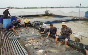 Trao tặng 100 suất quà tết cho nông dân khó khăn  ở Quảng Ninh - Ảnh 4.