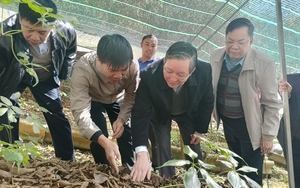 Công an tỉnh Quảng Ninh trao quà Tết cho các gia đình khó khăn - Ảnh 3.