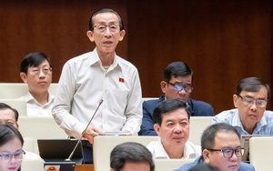 Đông Nam bộ tiếp tục thu hút đầu tư, "đầu tàu" chưa hết lo về quỹ đất công nghiệp - Ảnh 6.