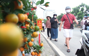 Người bán lý giải vì sao giá cành đào tại TP.HCM năm nay tăng vọt - Ảnh 4.