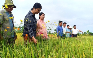 Hội Nông dân các cấp tỉnh Quảng Ninh động viên tân binh - Ảnh 7.
