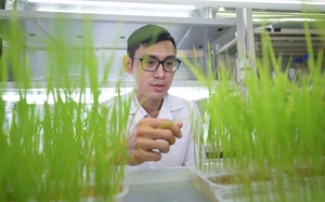 57 trong nông nghiệp: Nghiệm thu 300 giống lúa, chỉ 15 giống được ứng dụng và bài toán về "chấp nhận rủi ro" (Bài 2) - Ảnh 7.