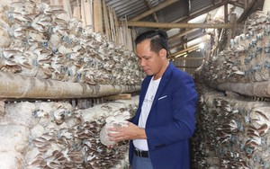 Cơ sở hạ tầng đồng bộ, hỗ trợ mô hình sản xuất mới, nông thôn Nam Giang ở Quảng Nam tốt hơn - Ảnh 7.