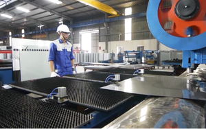 "Biển" lan hồ điệp khoe sắc, chào đón Tết Ất Tỵ - Ảnh 3.