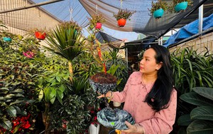 Hải Dương: Sắp xếp tổ chức bộ máy và bổ nhiệm chức danh lãnh đạo một số cơ quan mới thành lập- Ảnh 8.