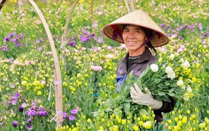 Thăm xã tiêu biểu Thống Nhất - Ảnh 1.