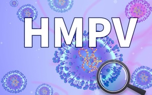 Virus gây bệnh hô hấp ở Trung Quốc giống Covid-19 có đáng lo ngại không? - Ảnh 6.