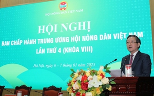 Hội Nông dân huyện Ba Chẽ hỗ trợ hội viên phát triển kinh tế từ trồng cây gỗ lớn, cây dược liệu  - Ảnh 8.