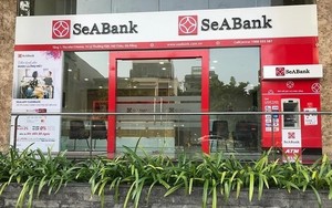 Phó Thống đốc Đào Minh Tú thông tin về chuyển giao bắt buộc 2 ngân hàng GPBank và DongA Bank- Ảnh 3.