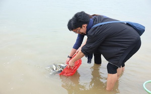 Hàng vạn người đội mưa ra bãi biển xem màn "rước kiệu bay" độc nhất vô nhị- Ảnh 17.