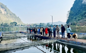 Kinh tế Đắk Nông khởi sắc, đời sống người dân nâng cao nhờ phát triển nông nghiệp và bảo tồn văn hóa - Ảnh 15.