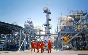 Bức tranh lợi nhuận năm 2024 của các ngân hàng: Nhà băng nào lãi dưới 1.000 tỷ đồng? - Ảnh 4.