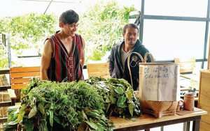 Kinh tế Đắk Nông khởi sắc, đời sống người dân nâng cao nhờ phát triển nông nghiệp và bảo tồn văn hóa - Ảnh 13.