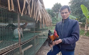 Kinh tế Đắk Nông khởi sắc, đời sống người dân nâng cao nhờ phát triển nông nghiệp và bảo tồn văn hóa - Ảnh 14.