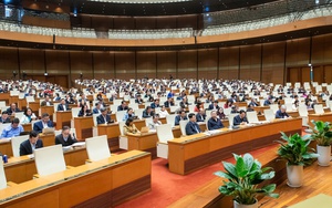 Bà Rịa - Vũng Tàu: 24 lãnh đạo xin nghỉ trước tuổi, Phó Giám đốc sở 53 tuổi cũng xin thôi - Ảnh 4.