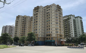 Những nhóm khách thuê nào giúp bất động sản thương mại TP.HCM tăng trưởng - Ảnh 1.