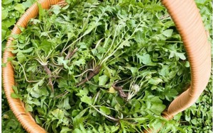Vắt chanh vào chảo dầu để làm gì? Vắt chanh vào chảo dầu để chiên rán không bắn, không dính - Ảnh 5.