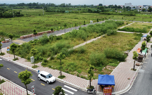Hơn 100 lô đất tại các "chảo lửa" đấu giá đất vùng ven Hà Nội sẵn sàng tìm chủ- Ảnh 4.