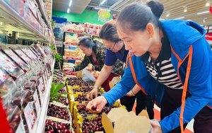 Một trường quốc tế ở TP.HCM phải dừng hoạt động do gặp khó khăn trong việc tuyển sinh  - Ảnh 3.