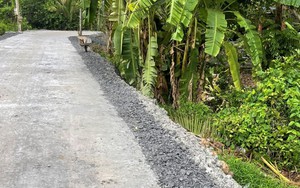 Phó Giám đốc Ban Quản lý dự án giao thông tỉnh Bình Định xin nghỉ hưu trước 9 năm 4 tháng - Ảnh 6.