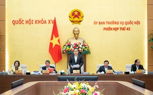 Ngày mai, Quốc hội họp riêng để xem xét cơ cấu tổ chức và cơ cấu số lượng thành viên Chính phủ - Ảnh 2.