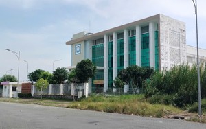 Vụ tranh chấp bè hàu ở Quảng Ninh: Thấy hàu to béo đến nhận là của mình? - Ảnh 9.