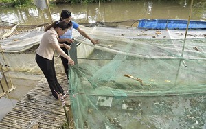Đồng Nai có một tòa thành cổ ở Biên Hòa, rộng 1,1ha, hoàn thiện dưới thời vua Minh Mạng nhà Nguyễn - Ảnh 11.