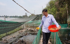 Đồng Nai có một tòa thành cổ ở Biên Hòa, rộng 1,1ha, hoàn thiện dưới thời vua Minh Mạng nhà Nguyễn - Ảnh 11.
