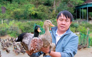 Hàng vạn người đội mưa ra bãi biển xem màn "rước kiệu bay" độc nhất vô nhị- Ảnh 13.