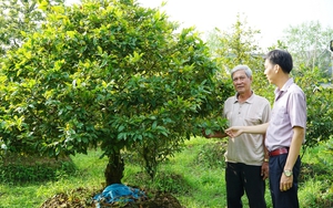 Ở Đồng Nai, tăng hộ giàu, giảm hộ nghèo, nông thôn mới đẹp hơn có phần của tín dụng ưu đãi - Ảnh 7.
