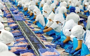 Động thái của chính quyền Tổng thống Trump tác động thế nào đến tỷ giá VND/USD? - Ảnh 3.