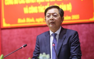 Bò thả rông lông nhông trên đường ở Khu Kinh tế Nhơn Hội, Chủ tịch Bình Định nói 'kỷ luật lãnh đạo'- Ảnh 5.